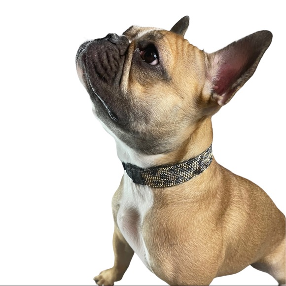 Going on a safari cheetah bling collar - Picture 7 of 8